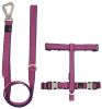 Pet Life 'Escapade' Outdoor Series 2-in-1 Convertible Dog Leash and Harness